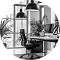 DataPulse Agency